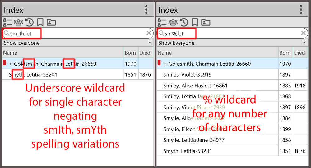 wildcards-example-1.png