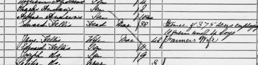 1861 census Farringdon.png