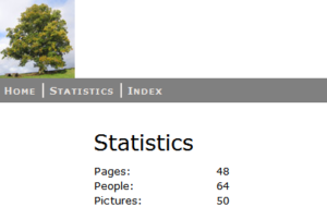 Example Statistics Page
